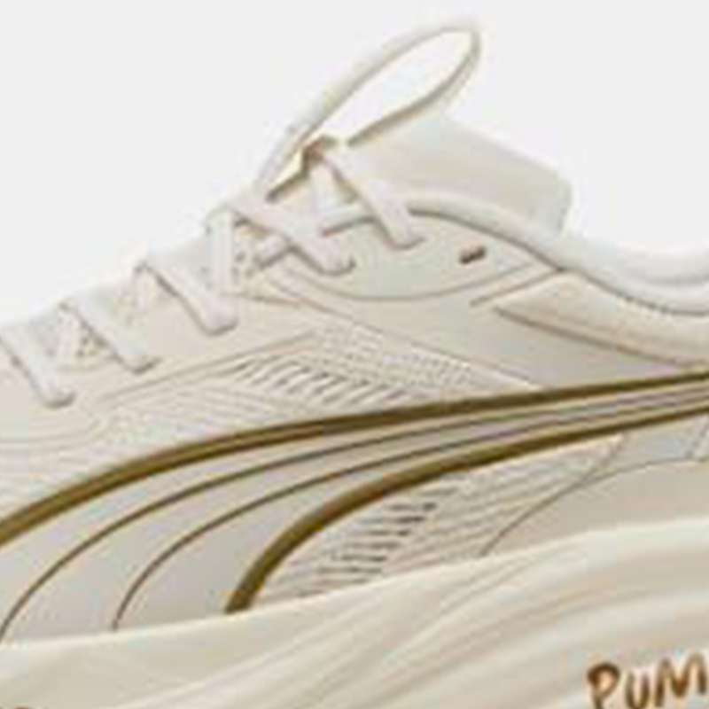 Puma hakiki sonbahar erkek spo - Men'S Shoes Puma Sports incelemesi ve fiyatı